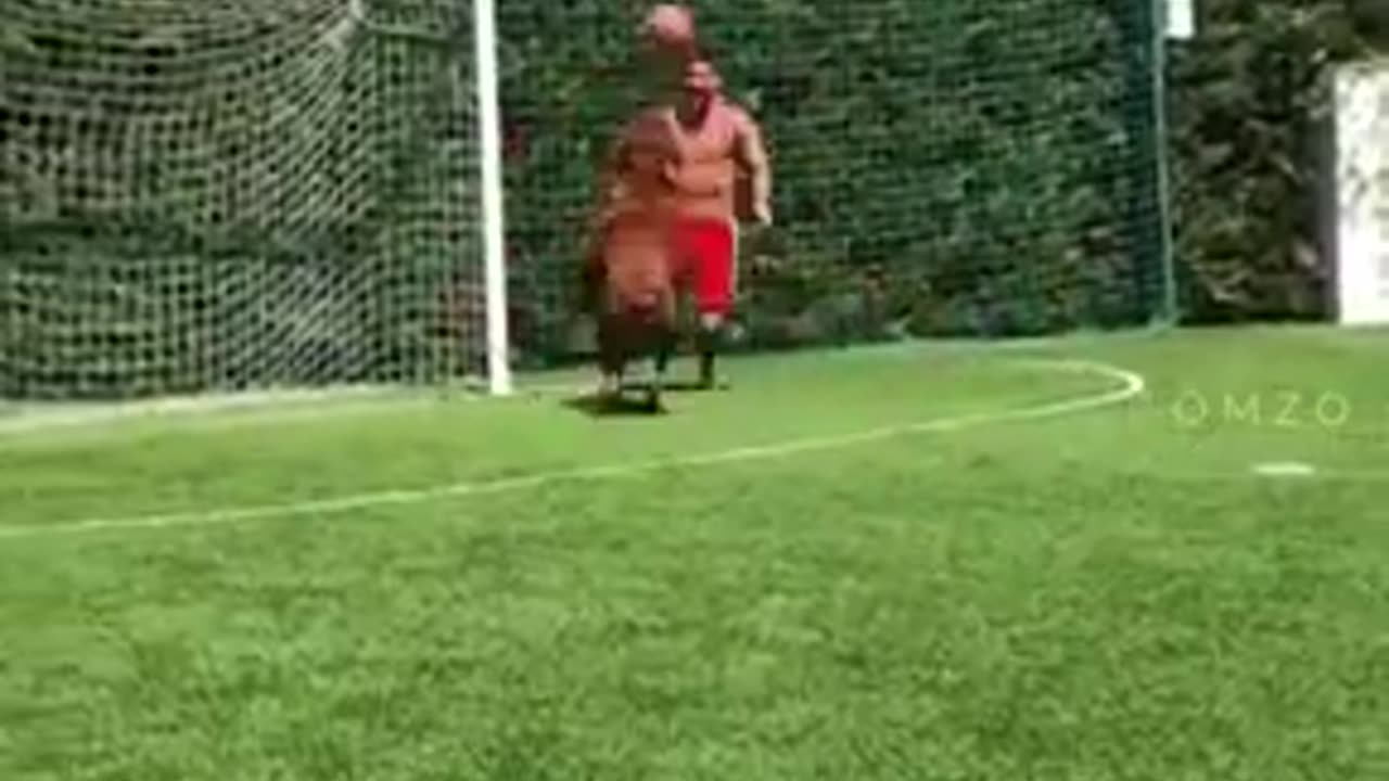 Famous Footballers with Their Dogs ((Aguero, Messi, Marcelo & More)