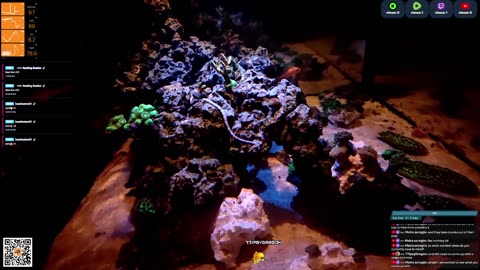 24/7 Real Live Reef Stream