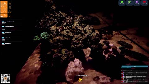 24/7 Real Live Reef Stream