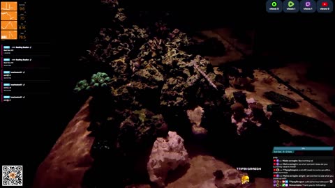 24/7 Real Live Reef Stream
