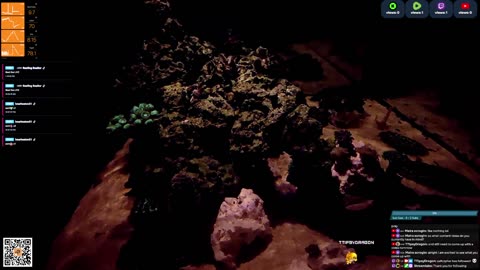 24/7 Real Live Reef Stream