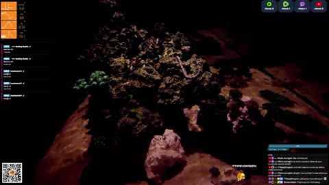 24/7 Real Live Reef Stream