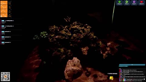 24/7 Real Live Reef Stream