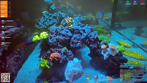 24/7 Real Live Reef Stream