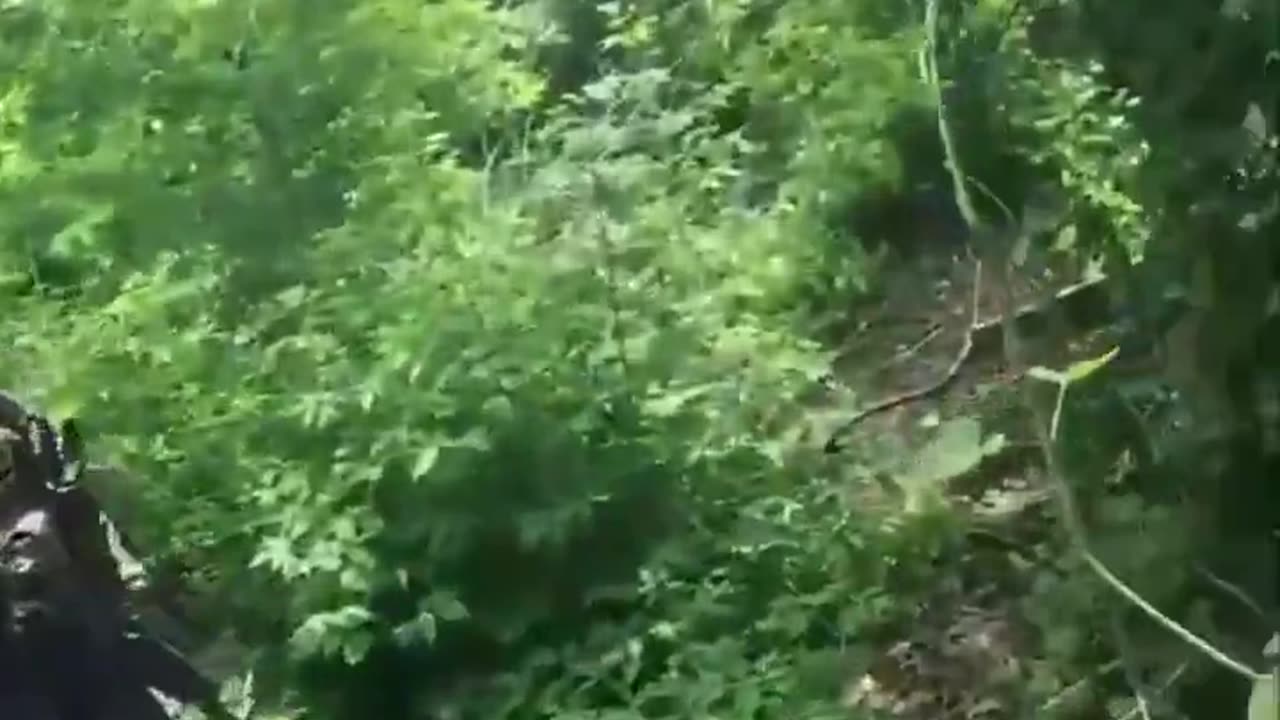 🇬🇧British Mercenary & 🇺🇦Ukrainian contingent are ambushed by Russian forces