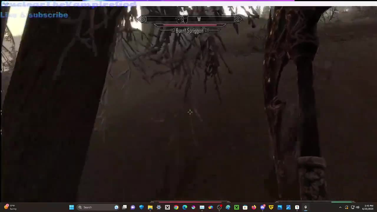 Dumb turd in Skyrim