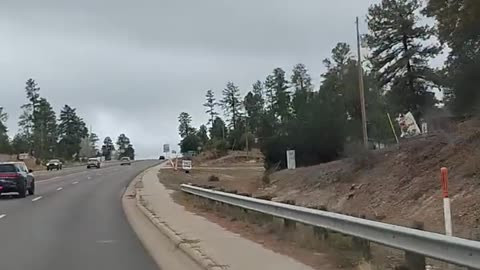 Shia, video recorded Nov 23, '25 by Alyssa