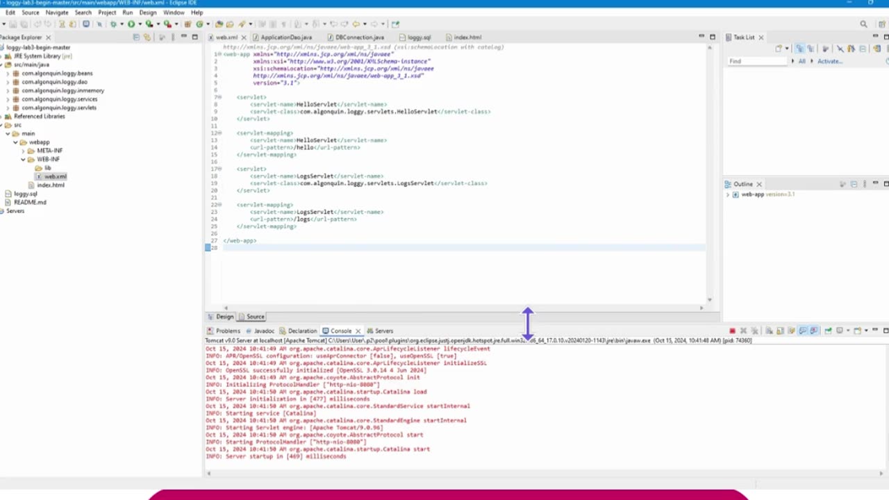 Student Work(Java) | 24F_CST8288N_800 OOP with Design Patterns Assignment 3 Output Video | Algonquin