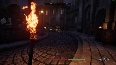 The Elder Scrolls IV - Oblivion Remastered - NPC Fight 2