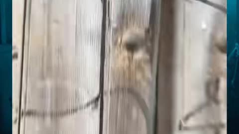 😧👀 What is That? A Creepy Encounter in the Dark | TheHauntingHour