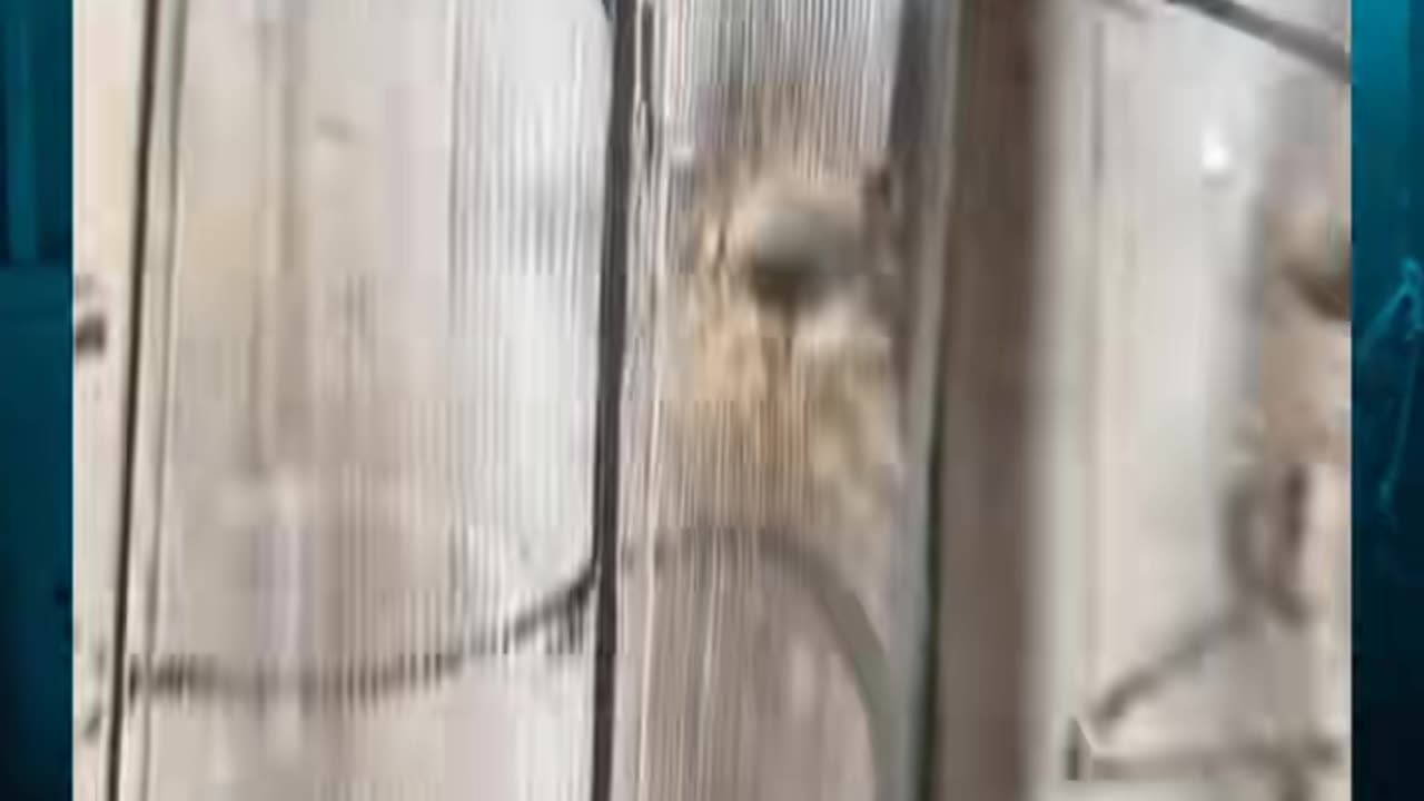 😧👀 What is That? A Creepy Encounter in the Dark | TheHauntingHour