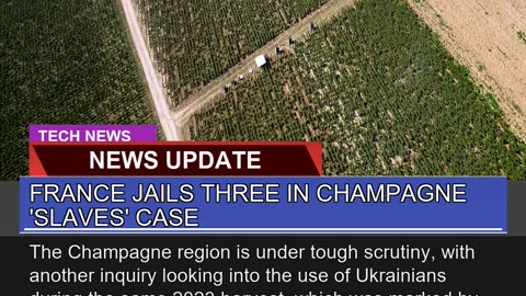France Jails Three in Champagne Slaves Case