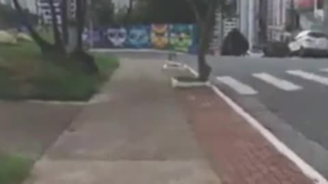 2018 Mirante de Santana Passeio