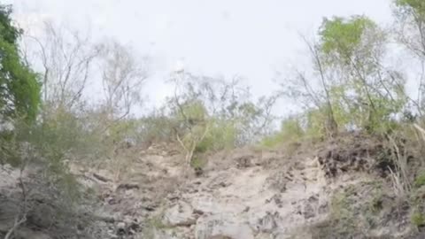 Surrounded by Thousands of Bats in a Mayan Cave – Bat Tornado