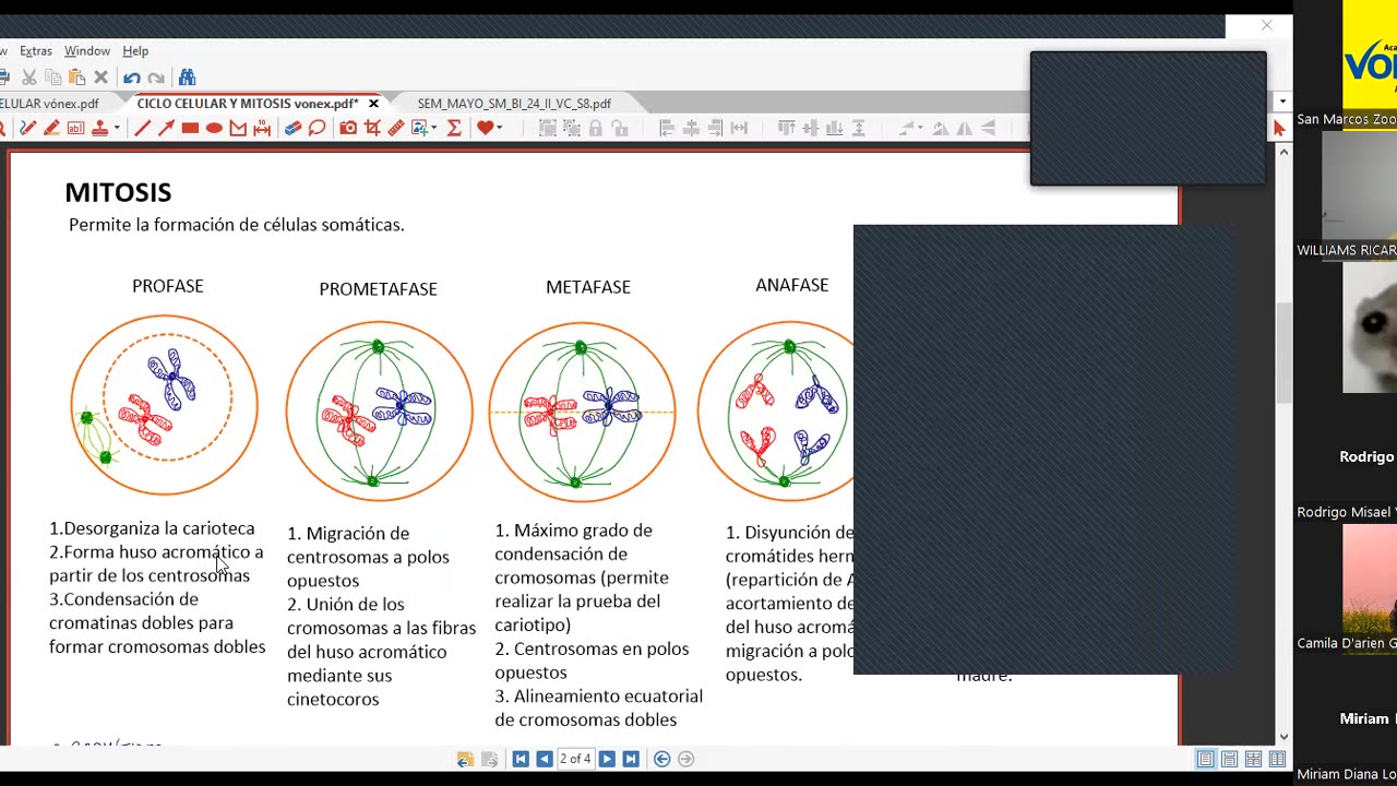 VONEX SEMESTRAL 2024 | Semana 08 | Biología