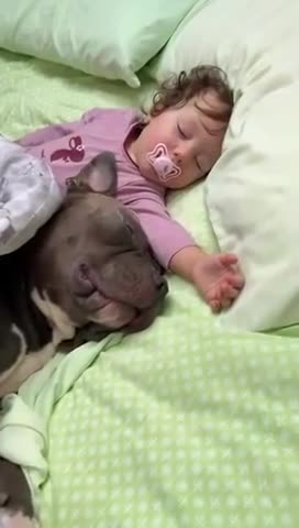 Fierce protector of his best friend 😍