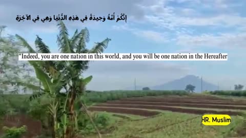 Partly about the Islamic religion 38