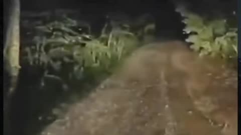 😨👻 You Won't Believe What They Caught on Camera! Jinn | TheHauntingHour