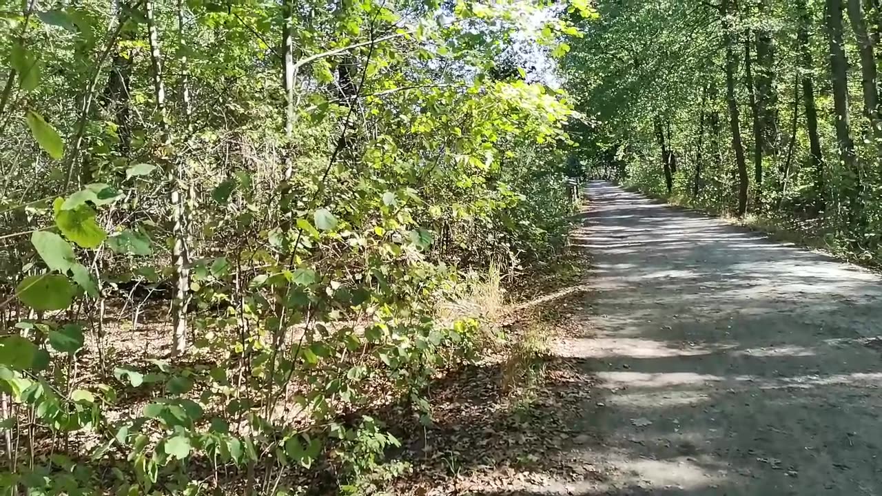 wychodzę z cienia ...