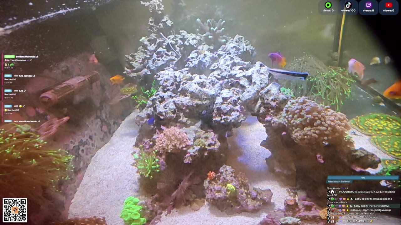 24/7 Real Live Reef Stream