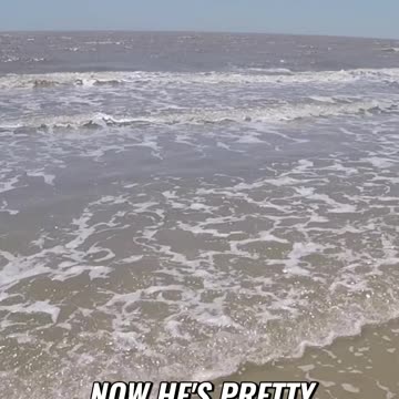 Alligator Gar Caught in the Surf!