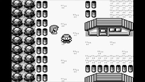 Pokemon Red part 3: The Color Blind Hero