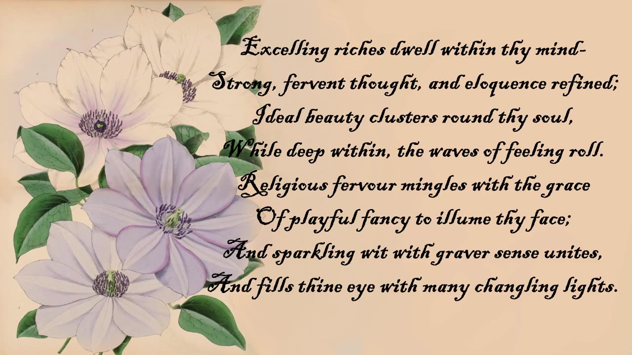 Clematis - The Language of Flowers