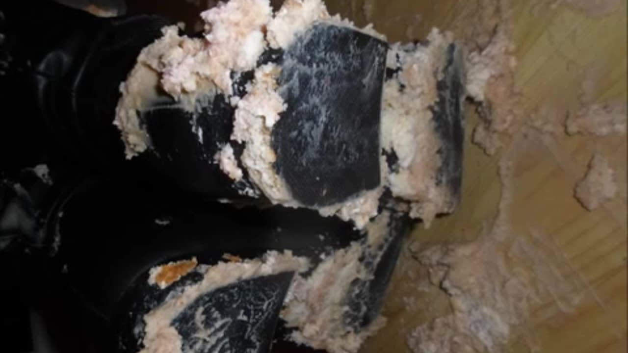 Crush Sisters Crush Cream Cake