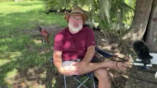 Lost Chicken Knowledge Birds that Survive on JUST Free-Range!