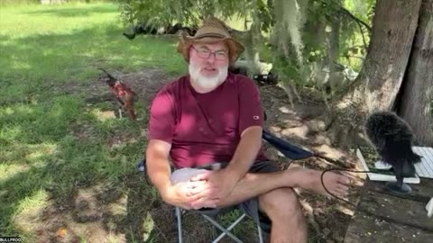 Lost Chicken Knowledge Birds that Survive on JUST Free-Range!