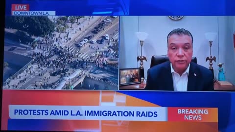 As Los Angeles descends into chaos, US Senator Alex Padilla’s message is: “Keep protesting!”