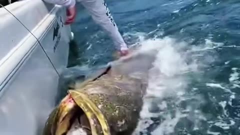 Ordinary daily life of fishermen