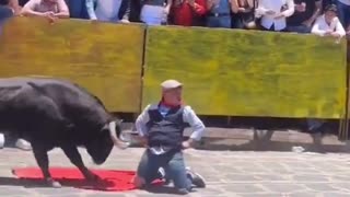 Perhaps one of the bull was waiting for the right time to hit
