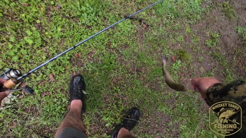 Rainy Day on my First Trout Fishing Outing This Season