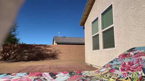 11/01/25 Tricialicous VOD: "LIVE! November Tan?! $3 TTS, $5 MEDIA" Part 2