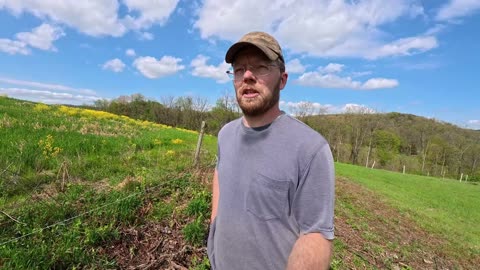 Cow moves, Fence installation, and Finishing touches on the Chicken Coop
