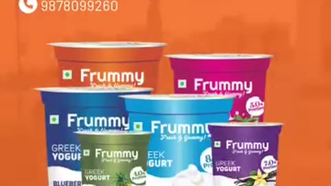 Buy Greek Yogurt Online in Mohali – Fresh, Healthy & Delicious