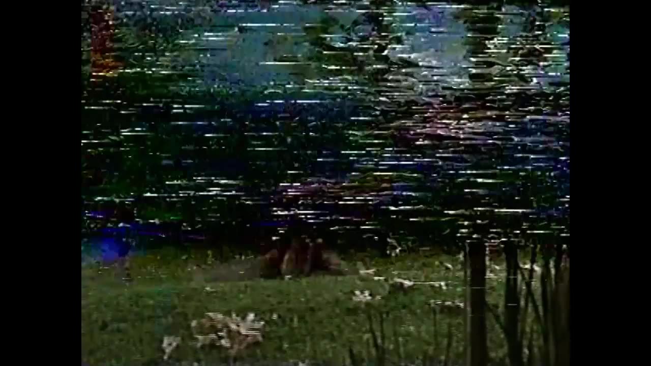 Classic Sesame Street Episode 3102