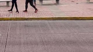 golpeo