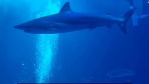 Daily Horoscope | Pisces 🌟