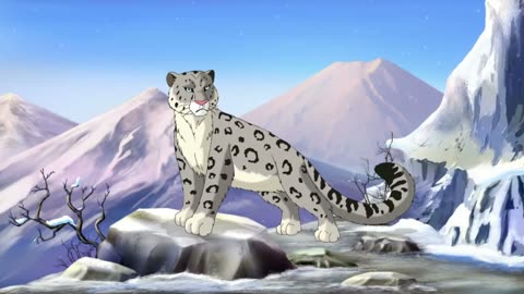 Snow Leopard: The Ghost of the Mountains