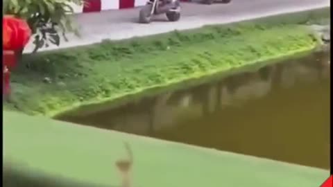 FOR THOSE WHO THINK THEY'VE SEEN IT ALL