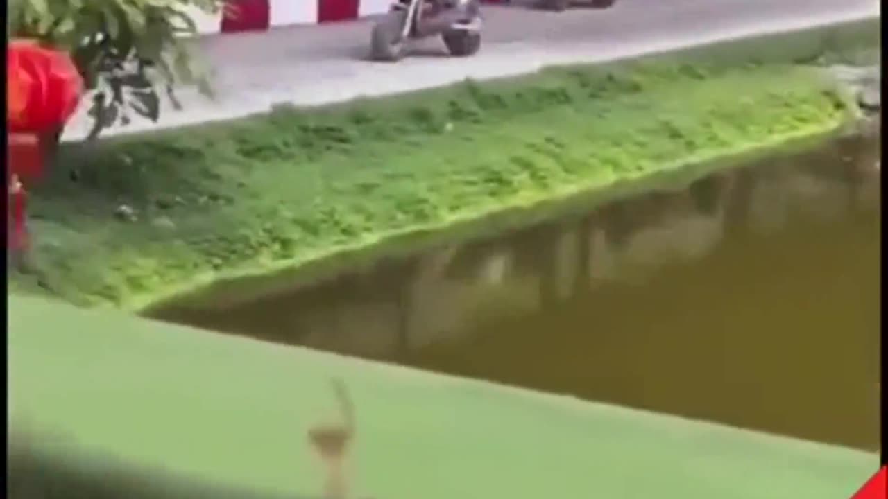 FOR THOSE WHO THINK THEY'VE SEEN IT ALL