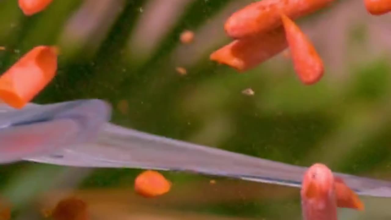 Super slow motion video