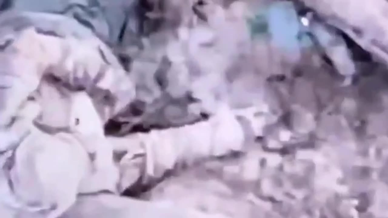 Let Him Walk