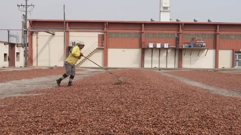 How Chocolate Is Made