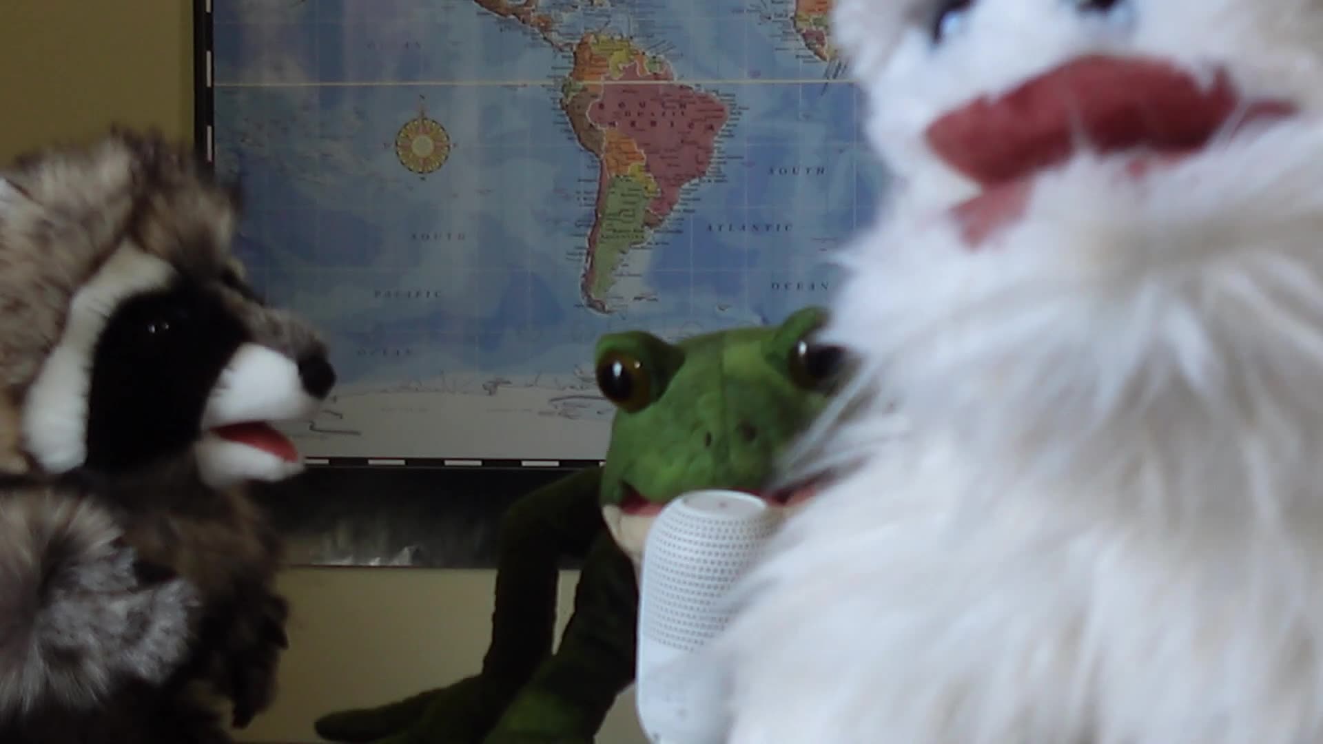 CGPA Puppets Performs wooly bully