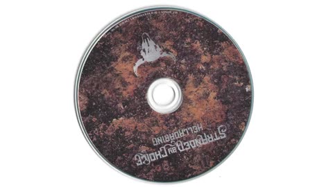 Stranded By Choice - HellRoaring - Black Seed