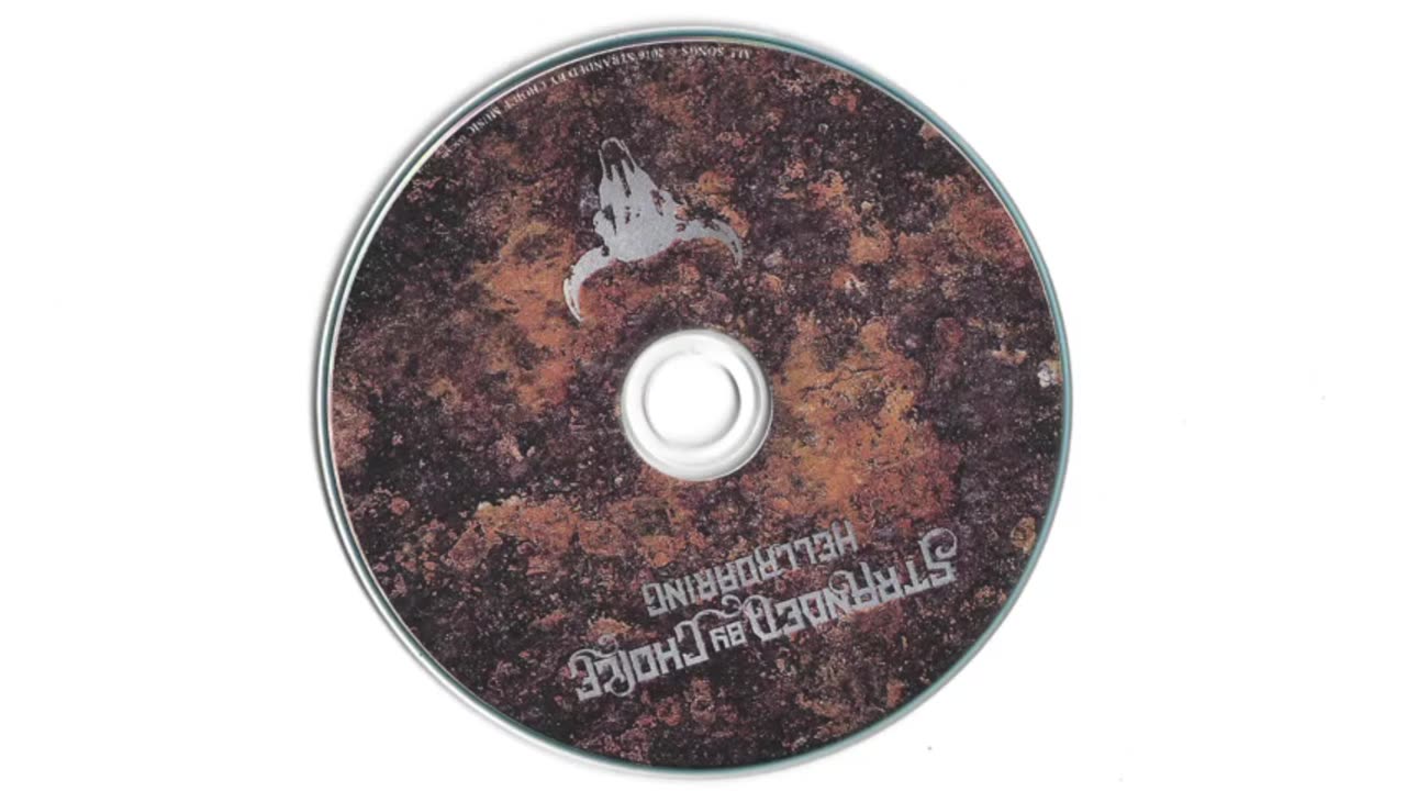 Stranded By Choice - HellRoaring - Black Seed