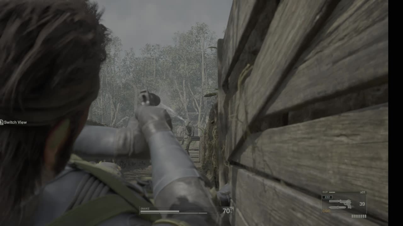 Mgs Delta - 6